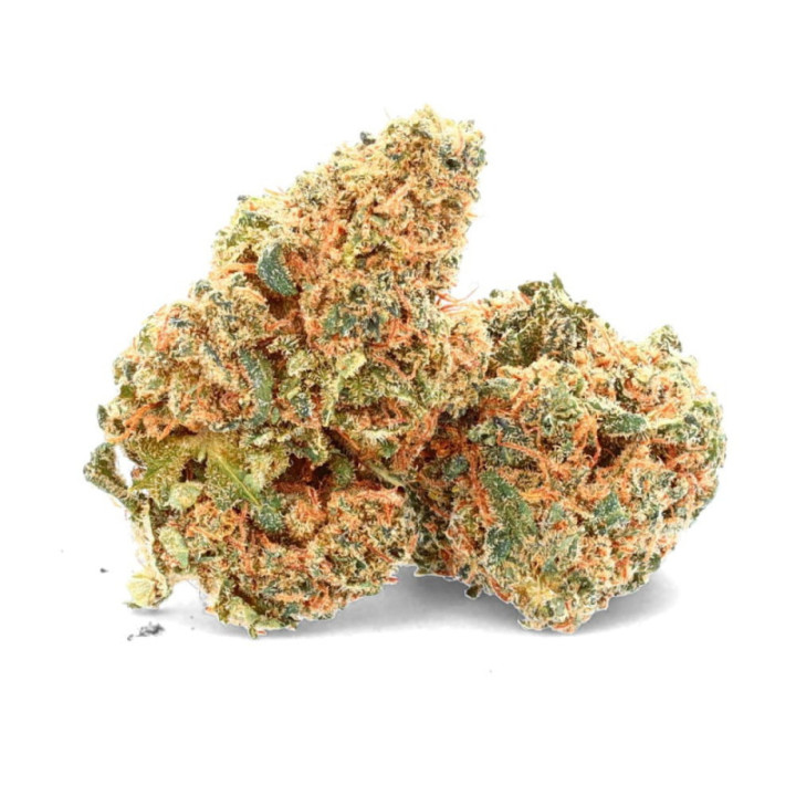AK-47 Ivory : Fleur de CBD Puissante et Harmonieuse - Weedy.fr