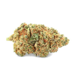 Bubble Gum Ivory : Fleur de CBD Sucrée et Enveloppante - Weedy.fr