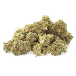 CBD Critical Cheese : votre alliée contre le stress - Weedy.fr