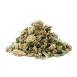 Critical Cheese Trim : Fleur de CBD Savoureuse et Distincte - Weedy.fr