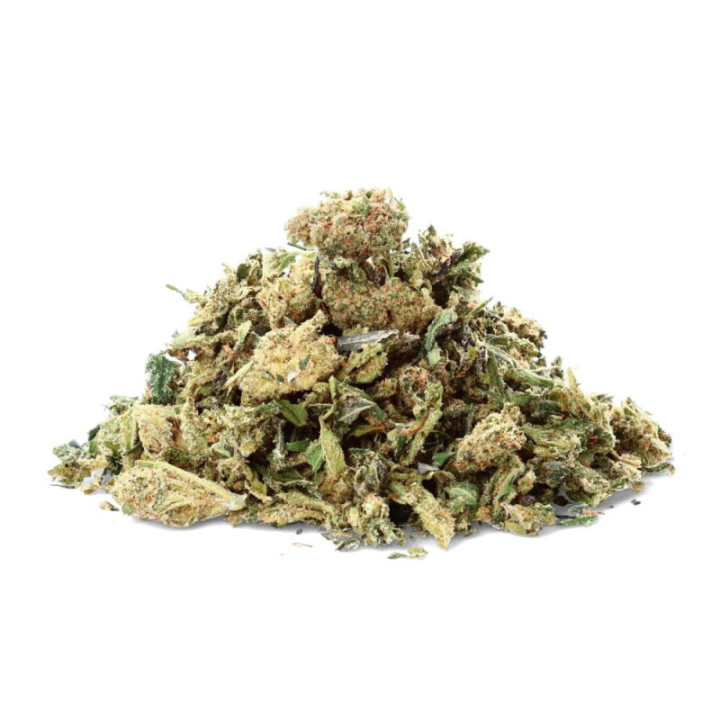 Critical Cheese Trim : Fleur de CBD Savoureuse et Distincte - Weedy.fr