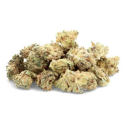 Gorilla Glue - Fleur de CBD - Ivory