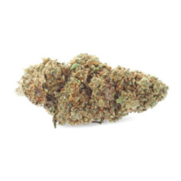 Harlequin 2.0 : Fleur de CBD Raffinée et Sophistiquée - Weedy.fr
