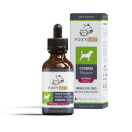 Huile de CBD pour chien moyen