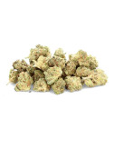 Jack Frost - Fleur de CBD - Ivory
