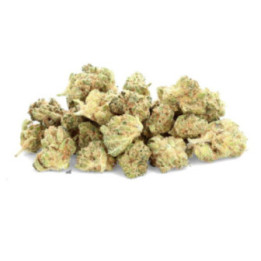 Jack Frost - Fleur de CBD - Ivory