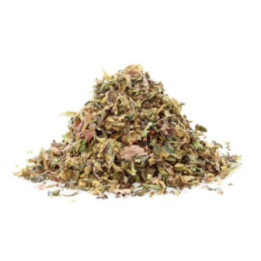 Limoncello Trim : Fleur de CBD Citronnée et Pétillante - Weedy.fr