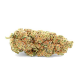 O.G Cookie Ivory : Fleur de CBD Gourmande et Relaxante - Weedy.fr