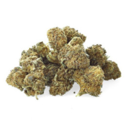 Sour Tangie : Fleur de CBD Acidulée et Énergisante - Weedy.fr
