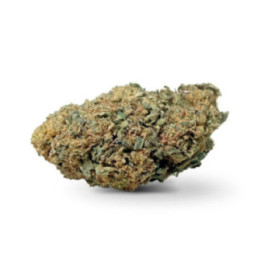 lemon skunk cbd outdoor pas cher sur weedy.fr