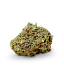 cannatonic cbd indoor pas cher sur weedy.fr