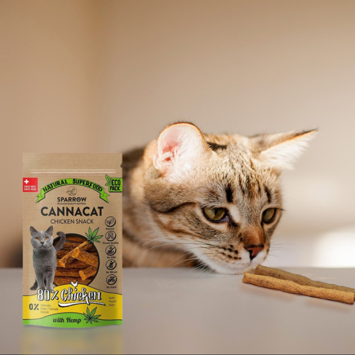 Friandises au CBD pour chat : goût & bienfaits - Weedy.fr