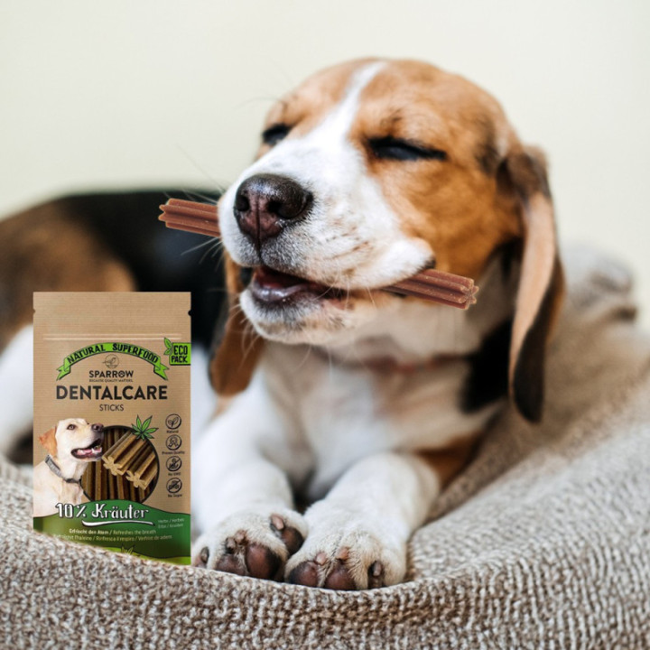 Friandises CBD pour Chiens - Bâtonnets de Soins Dentaires Sparrow - Weedy.fr