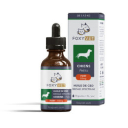 Huile de CBD pour petit chien
