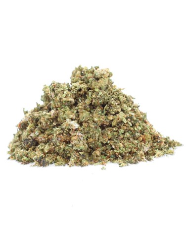 GrandDaddy - Trim THCP - Easy Weed