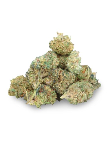 Papaya H4CBD 25% - Fleur de H4CBD - Easy Weed