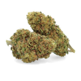 Remedy CBD - Fleur CBD - Weedy