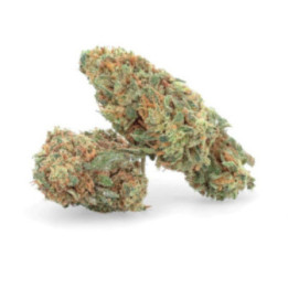 Orange Bud CBD - Fleur CBD - Weedy