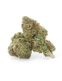 Royal Cheese - Fleur CBD - Weedy