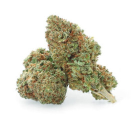 Royal Cheese - Fleur CBD - Weedy