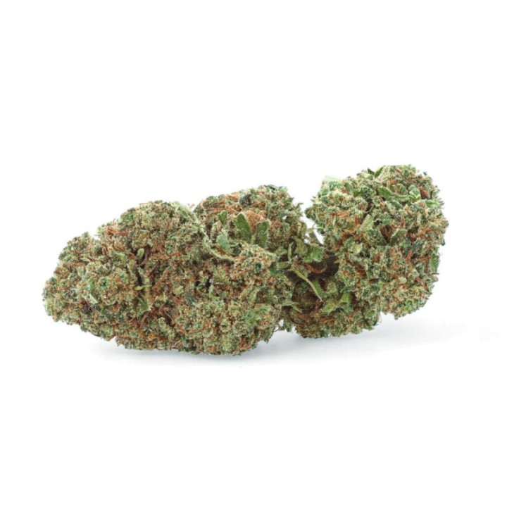 Royal Cheese CBD Indoor - Saveur intense & effet relax puissant - weedy.fr