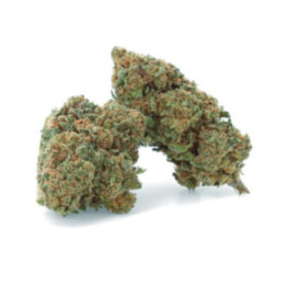 Super Lemon Haze - Fleur CBD - Weedy
