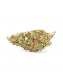White Rhino - Fleur de CBD - Easy Weed