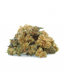 Rainbow Pops - Fleurs NBSh - Easyweed
