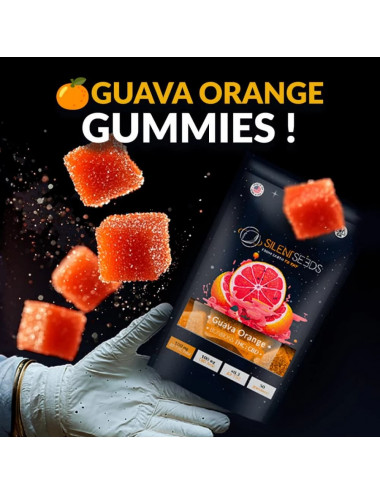 Gummies THC Delta 9 Guava Orange - Silent Seeds