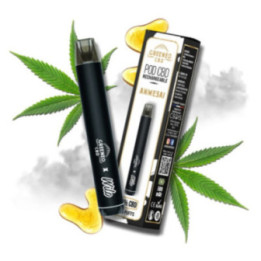 Pod rechargeable - Amnesia - Greeneo