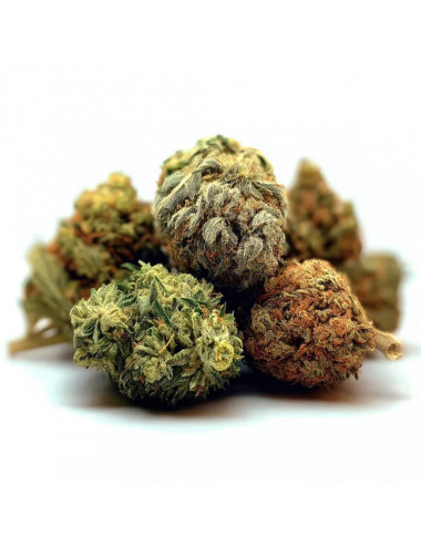 Mix Bud - Fleur de CBG - Easy Weed
