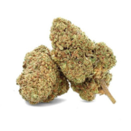 Gorilla CBD - Fleur CBD - Weedy