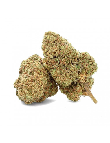 Gorilla CBD - Fleur CBD - Weedy