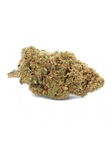 Gorilla CBD - Fleur CBD - Weedy