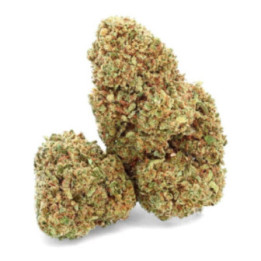 Strawberry Haze - Fleur CBD - Weedy