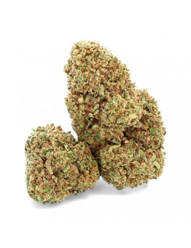 Strawberry Haze - Fleur CBD - Weedy