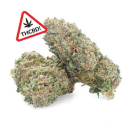 Sour Diesel THCBD Ivory – Fleur acidulée & puissante | Weedy.fr