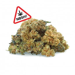 Rainbow Pops - Fleurs NBSh - Easyweed