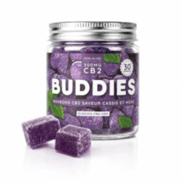 Bonbon CB2 Fruits des Bois Buddies, vegan sans THC ni CBD | Weedy.fr