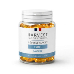 Gélules CB2 Fort 4,5 %, Complexe CB2 sans THC ni CBD | Weedy.fr