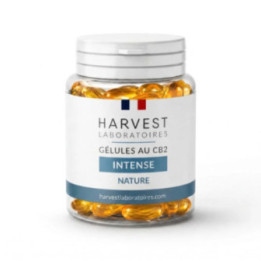 Gélules CB2 Intense 9 %, concentration max sans THC ni CBD | Weedy.fr