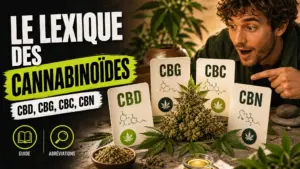 Une plante de chanvre est entourée de cartes indiquant CBD, CBG, CBC et CBN dans une composition éditoriale sobre.