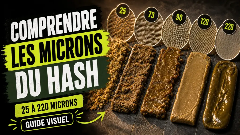 Des échantillons de résine aux textures variées sont présentés à côté de tamis indiquant plusieurs tailles de microns.