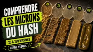 Des échantillons de résine aux textures variées sont présentés à côté de tamis indiquant plusieurs tailles de microns.