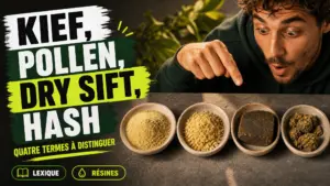 Quatre échantillons de résine de chanvre, du kief poudreux au hash compact, sont présentés côte à côte pour comparer leurs textures.