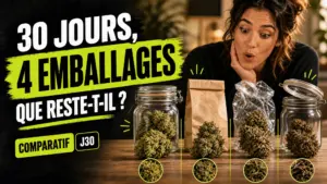 Quatre échantillons de fleur de chanvre sont présentés dans un bocal en verre, un sachet en papier, un emballage plastique et un contenant entrouvert pour co…