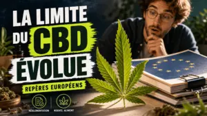 Une feuille de chanvre repose devant un dossier réglementaire aux accents bleus évoquant l’évaluation européenne du cannabidiol.