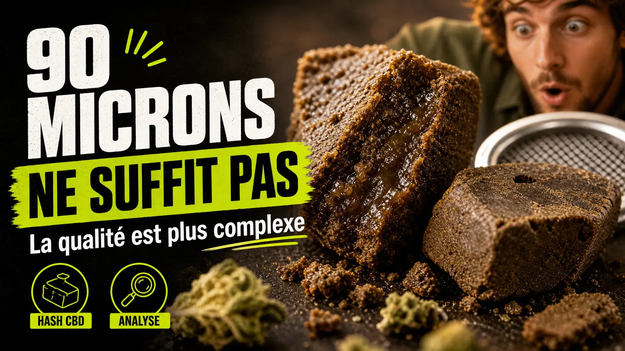 Gros plan éditorial sur plusieurs morceaux de hash CBD aux textures et densités variées, accompagnés de fragments de fleur de chanvre.