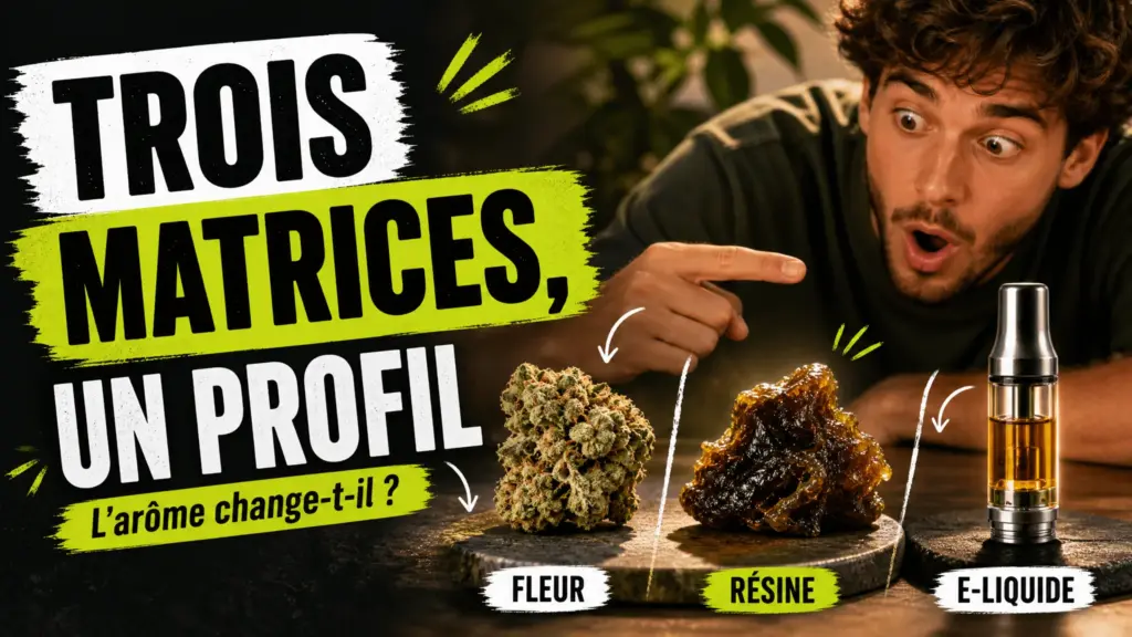Une fleur de chanvre séchée, une résine sombre et un réservoir d’e-liquide ambré sont présentés côte à côte pour comparer leurs profils aromatiques.
