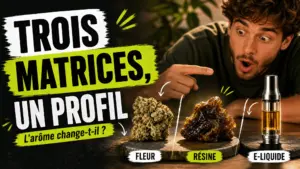 Une fleur de chanvre séchée, une résine sombre et un réservoir d’e-liquide ambré sont présentés côte à côte pour comparer leurs profils aromatiques.